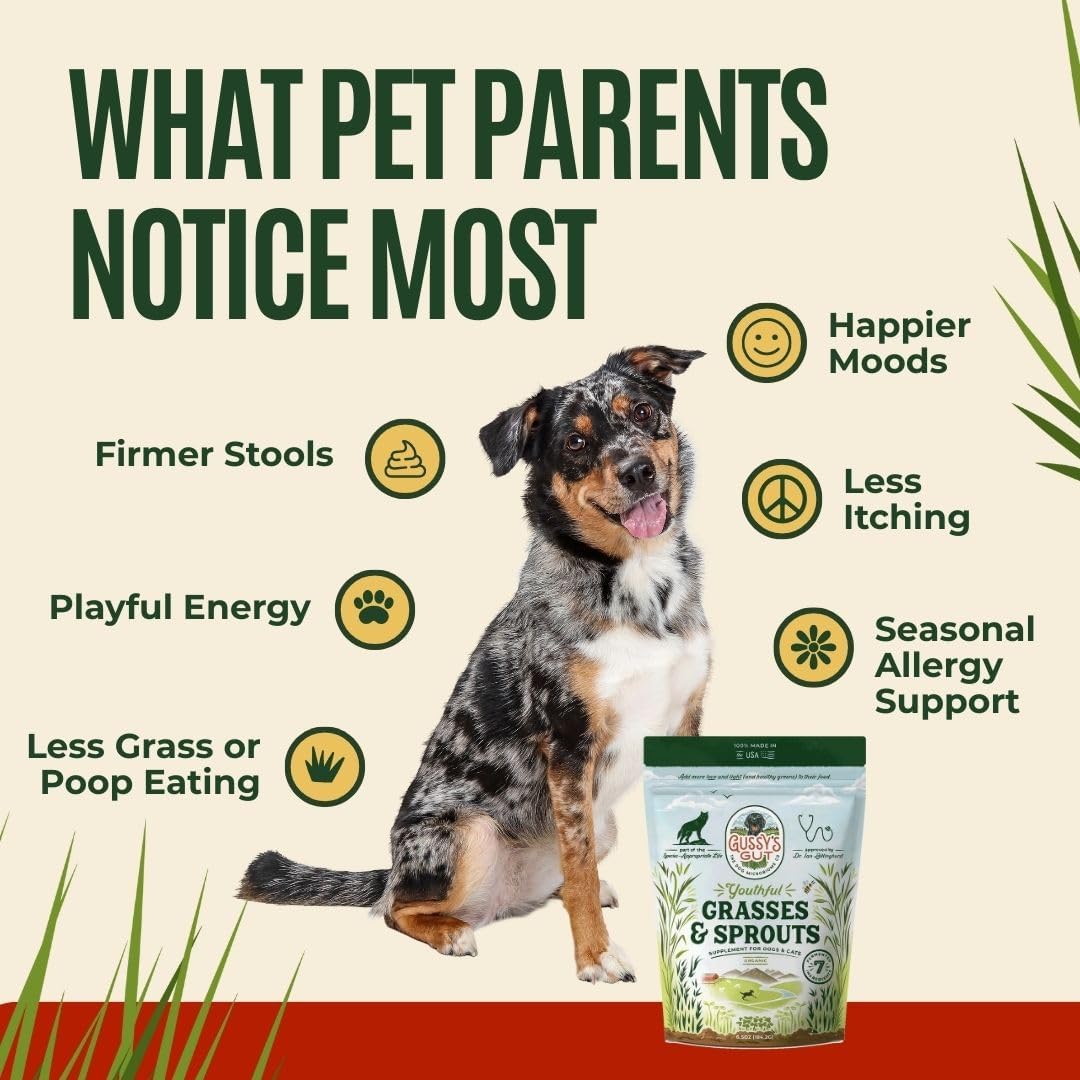 Youthful Grasses & Sprouts