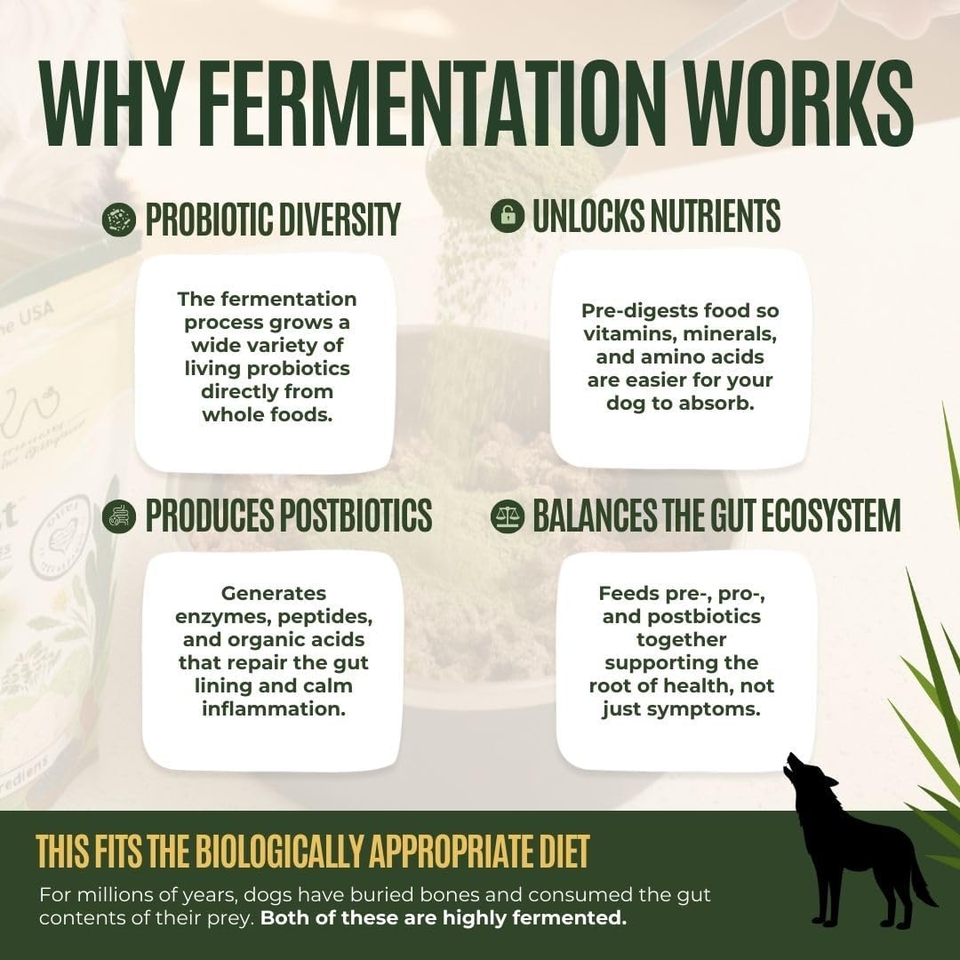 Youthful Grasses & Sprouts