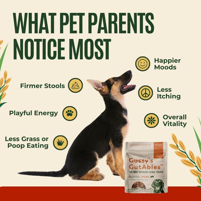 Gussy's GutAbles Treats (White Oak Pastures Pork)