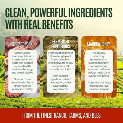 Gussy's GutAbles Treats (White Oak Pastures Pork)